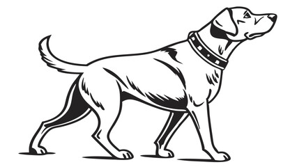 Obraz premium dog logo, black outline vector graphic transparent background