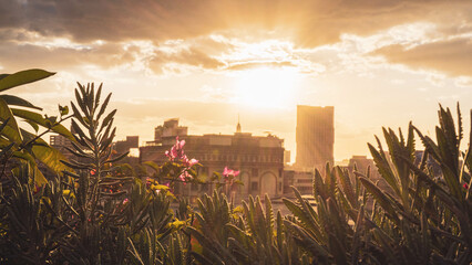 Fototapety na wymiar - Fototapeta24.pl