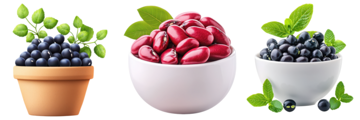 Ethical Concepts on Vegetarian Protein. A collection of berries in bowls, featuring blueberries, red beans, and a potted plant, all garnished with fresh green leaves.