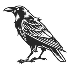 Fototapeta premium crow logo, black outline vector graphic transparent background 