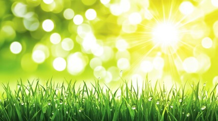 Obraz premium Vibrant Green Grass with Dew Drops Sunny Bokeh Background Spring Nature Scene