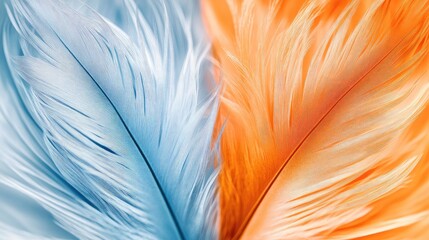 Fototapeta premium Artistic macro view of orange and blue feathers side by side, highlighting their bold colors and delicate textures.