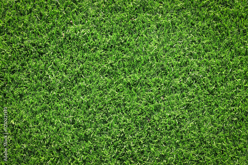 Canvas Prints top view artificial green grass texture for background