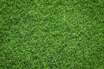 Fototapeta premium top view artificial green grass texture for background