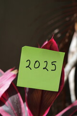 Una toma de cerca de una nota adhesiva con la palabra hola y el numero 2025 escrita a mano  pegada a una hoja de una planta © Elika R