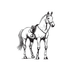 Fototapeta premium horse isolated on white background