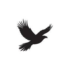 eagle in flight