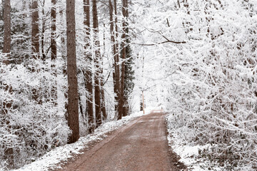 Snowy road and cold winter landscape - winter snow Fruška Gora Serbia