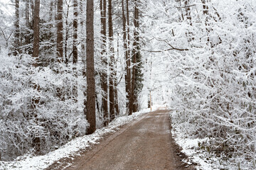 Snowy road and cold winter landscape - winter snow Fruška Gora Serbia