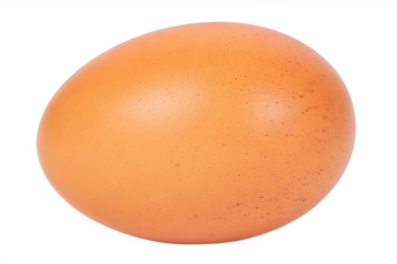 single brown chicken egg isolated on white background PNG.AI GENERATED