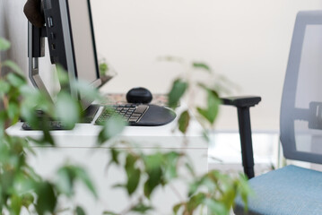 A bright and inviting office setup featuring a computer with accessories on a desk. Green plants in...