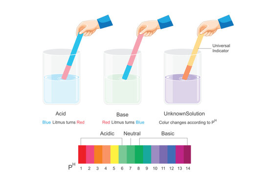 Acid base litmus test. universal indicator. Chemical reactions.
