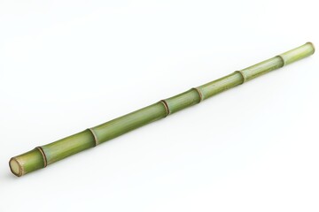 A slender bamboo stick lies horizontally against a light background, showcasing its natural green hues and segmented structure.