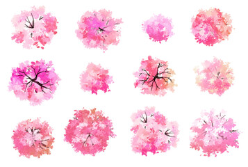 Vertor set of spring blossom tree,blooming plants top view for landscape plan,schematic layout,eco environment concept design,watercolor sakura illustration