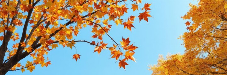 Autumn leaves of various colors falling from a tree against a clear blue sky, serene, nature, outdoors