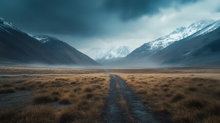 77. A user-friendly eCommerce platform interface showcasing tools to optimize and grow an online store