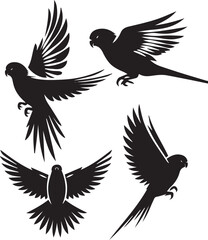 set of lovebird flying poses,black and white lovebird, lovebird perched, bird vector art