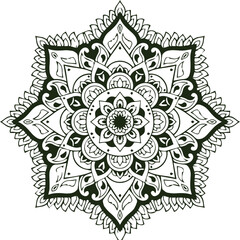 Beautiful flower art and mandala vector design