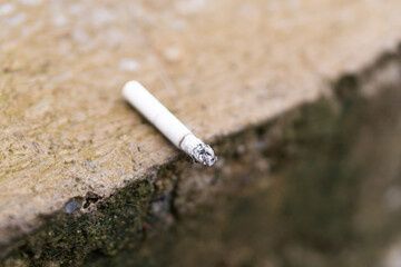 Close-up of a Discarded Cigarette Butt