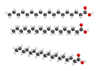 Molecule of Stearic Acid. Set of views. Molecular formula: C18H36O2. Chemical model: Ball and stick. Isolated. Transparent background. PNG. 3D illustration