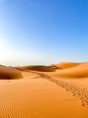 Summer Adventure in the Sahara Desert, in Morocco, Africa