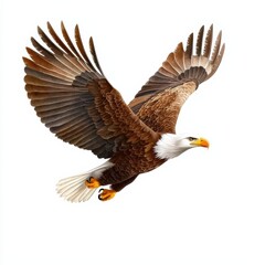 Fototapeta premium Bald eagle flying gracefully nature watercolor illustration sky art