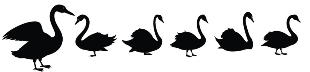 Obraz premium A set of swan silhouette natural bird illustration