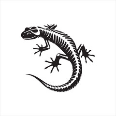 lizard on black background