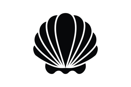 Illustration of a seashell on a black background, marine design  