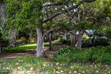 California Coast Line