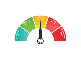 BMI Meter Body Mass Index Meter Info Graphic
