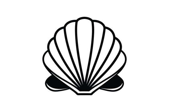 Illustration of a seashell on a black background, marine design  
