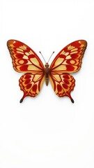 Beige and red butterfly with intricate patterns isolated on a white background, wildlife, beige
