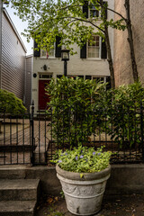 Alexandria VA Spring