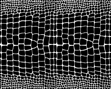 Seamless pattern of alligator skin on a white background	