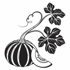 Gourd vector silhouette black design white background