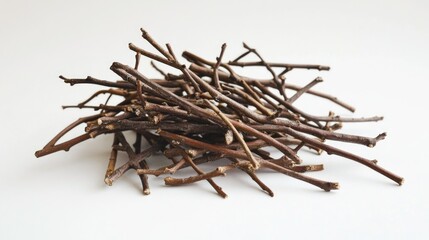 Obraz premium Natural Dried Branch Cluster