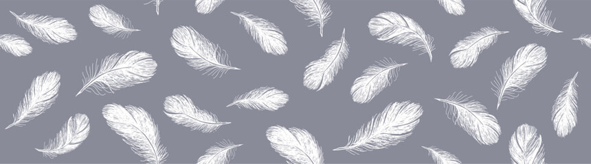 Set of bird feathers. Hand drawn sketch style.	
