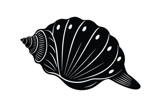 shell  vector art illustration on white background