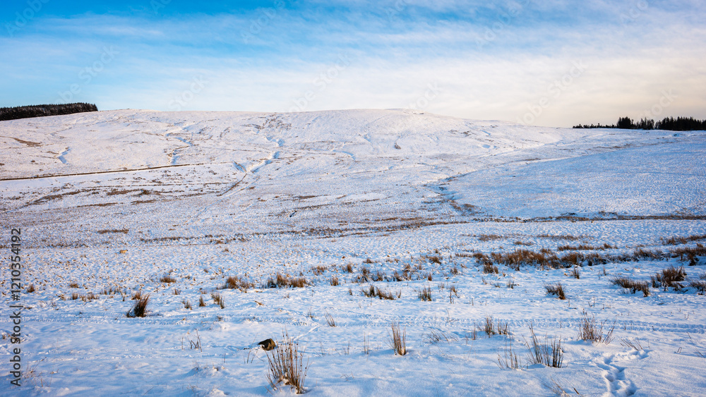 Wall mural source of the river tweed, which is 97 miles long from source to estuary and runs eastward in the sc