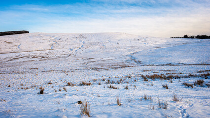 Source of the River Tweed, which is 97 miles long from source to estuary and runs eastward in the Scottish Borders