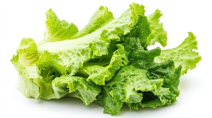 fesh lettuce background