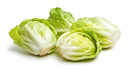 fesh lettuce background