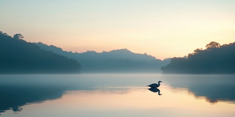 Wildlife serenity in wetland calm waters nature early morning light peaceful landscape reflections
