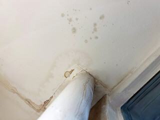 Water stains and mold spots are visible on a cracked ceiling corner near a window