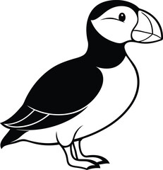 Atlantic Puffin silhouette vector illustration, Atlantic Puffin line art vector, Atlantic Puffin vector design