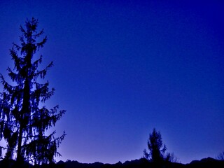 Abstract dark blue evening sky and dark horizon of mountain ranges in Tatras, Tatra Mountains in Poland and black branches trees. Topics: Tatra National Park, mountain tourism, natural environment