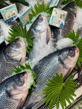 Fresh catla fish displayed on ice at a supermarket.this photo was taken from Bangladesh.