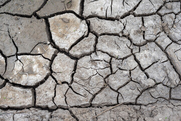 dried and cracked mud in place of a puddle
