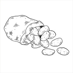 Graphics vector black outline bag of potatoes. Two versions - with and without filling